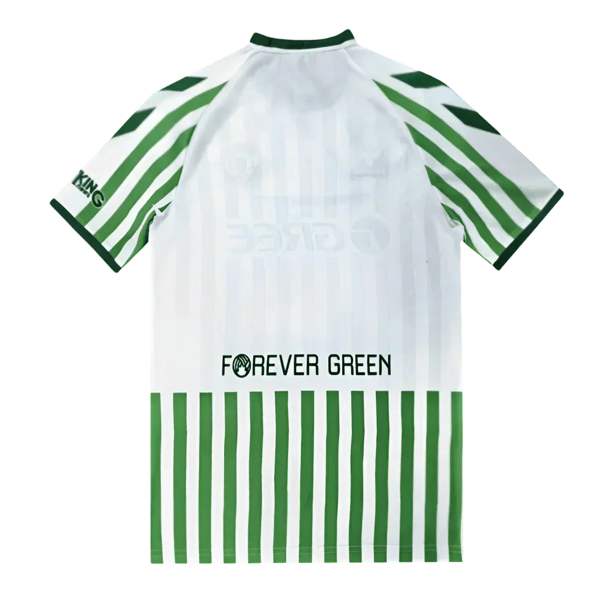 Real Betis Limited Edition jersey - 2025/2026 Fan Version